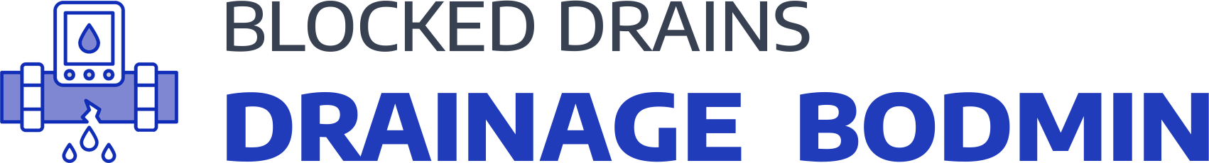 website logo